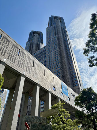 小池都知事・都幹部にデジタル社会のメンタルヘルスについてお話しました (2026/6/10)の関連画像
